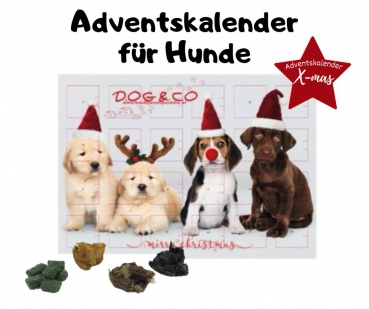 Dog&Co Adventskalender - Vorbestellung